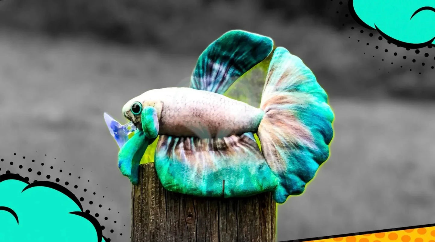 GreenPleco Jade Mist Betta Plushie Fish Super Cichlids