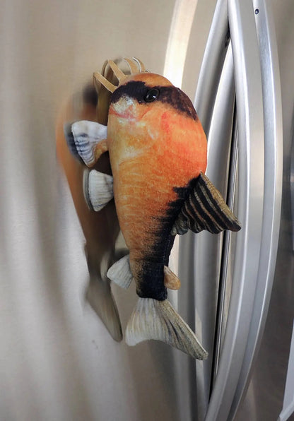 GreenPleco Metae "Bandit" Corydoras Plushie Fish Super Cichlids