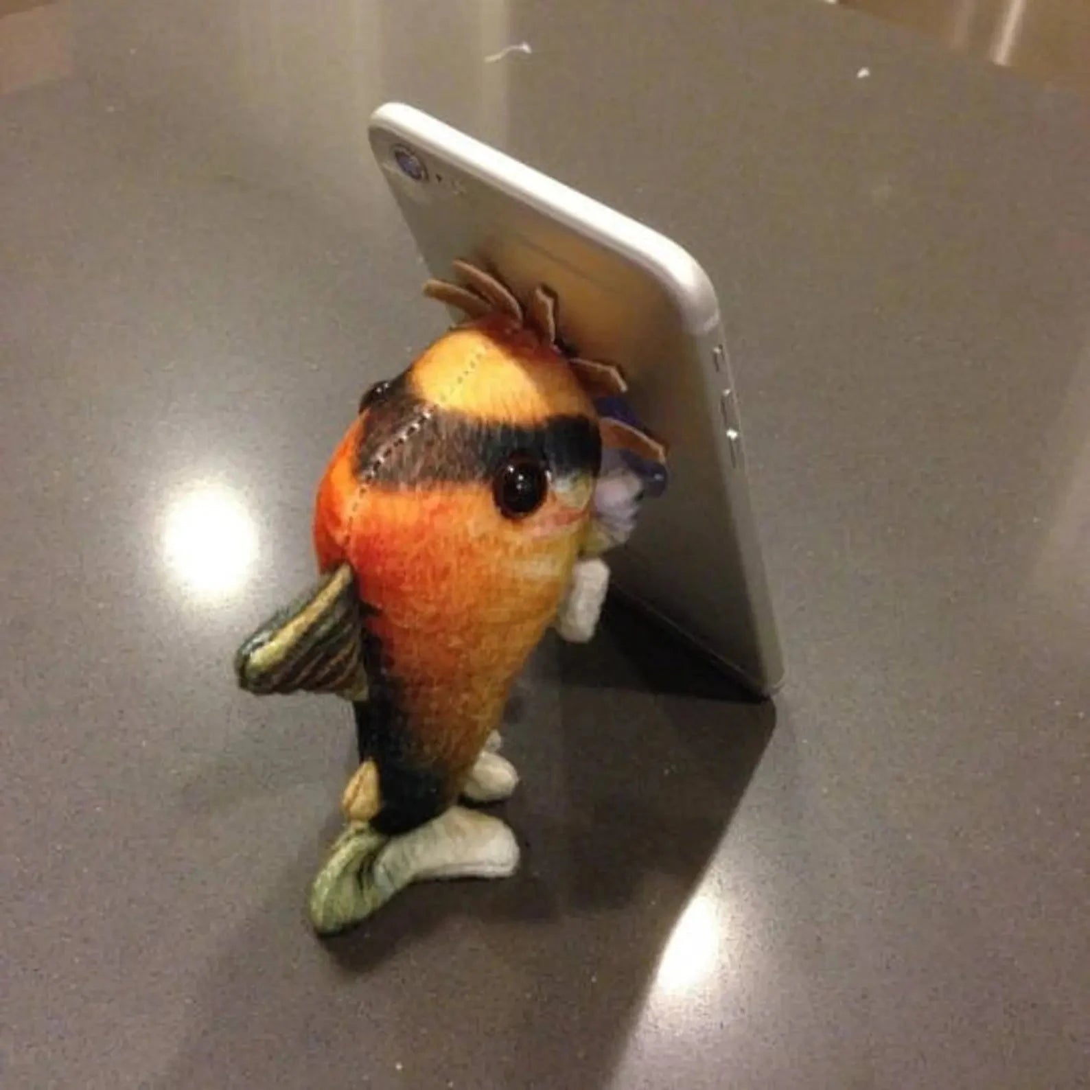 GreenPleco Metae "Bandit" Corydoras Plushie Fish Super Cichlids