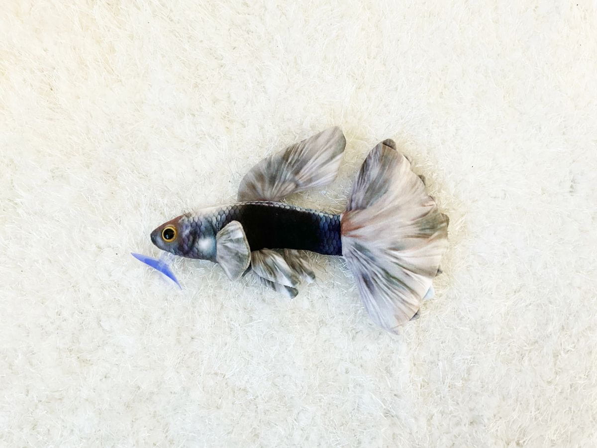 GreenPleco Onyx Mist Guppy Plush Stuffed Animal – Aquarium Fish Toy (9") Super Cichlids