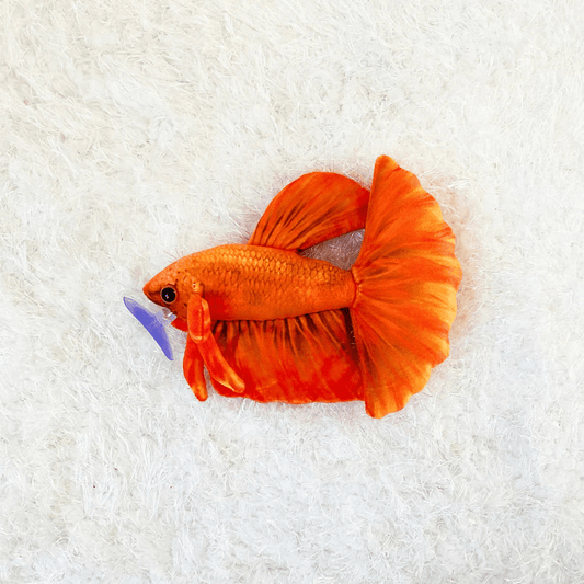 GreenPleco Oranjel Betta Plushie Fish Super Cichlids