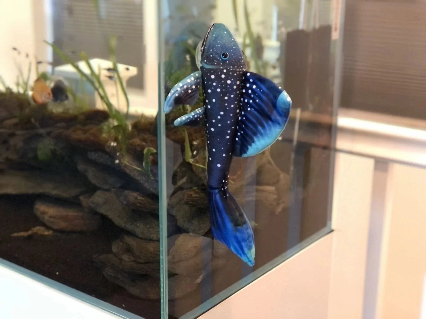 GreenPleco Phantom Pleco Plushie Fish Super Cichlids