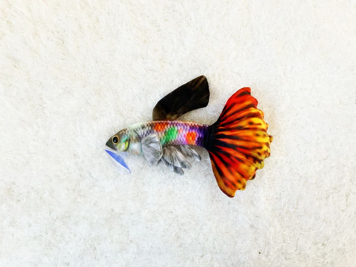 GreenPleco Polychrome Guppy Plush Stuffed Animal – Aquarium Fish Toy (9") Super Cichlids