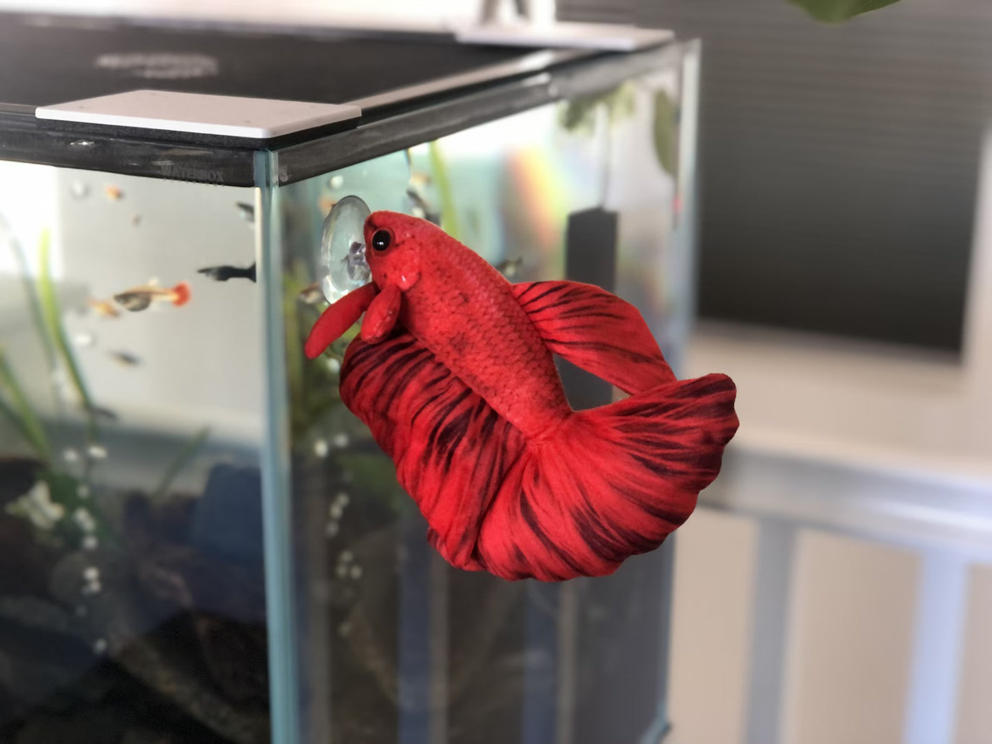 GreenPleco Red Betta Plushie Fish 6" Super Cichlids