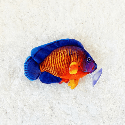 GreenPleco Salt Water Coral Beauty Plushie Fish Super Cichlids