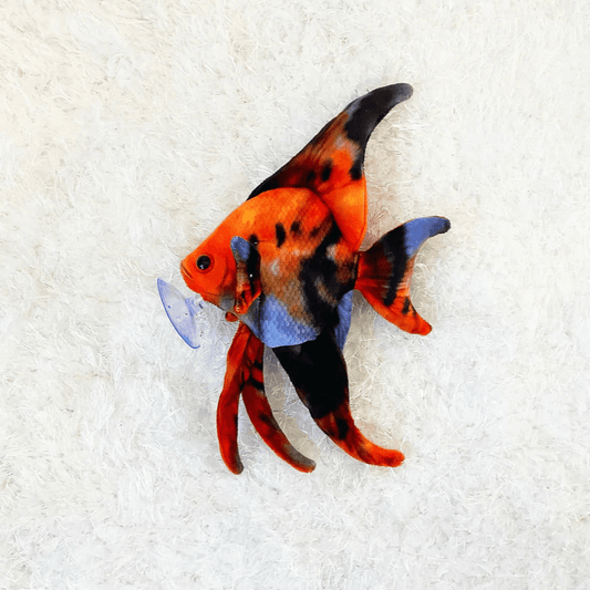 GreenPleco Sunet Angel Plushie Fish Super Cichlids