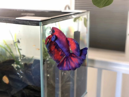 GreenPleco Uva Betta Plushie Fish Super Cichlids