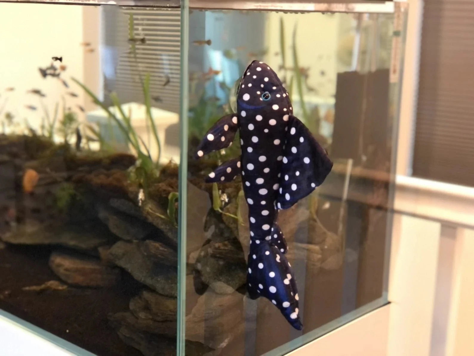 GreenPleco Vampire Plecostomus Plushie Fish Super Cichlids