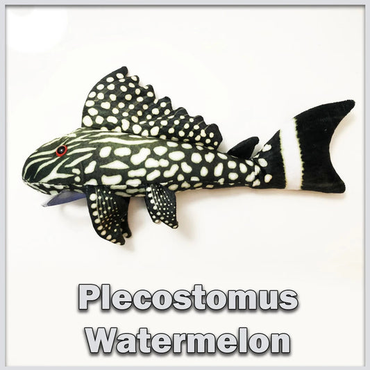 GreenPleco Watermelon Plecostomus Plushie Fish Super Cichlids