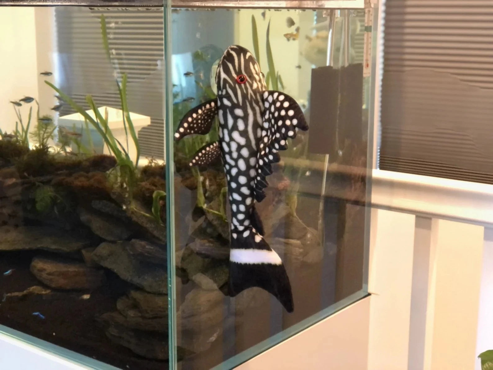 GreenPleco Watermelon Plecostomus Plushie Fish Super Cichlids