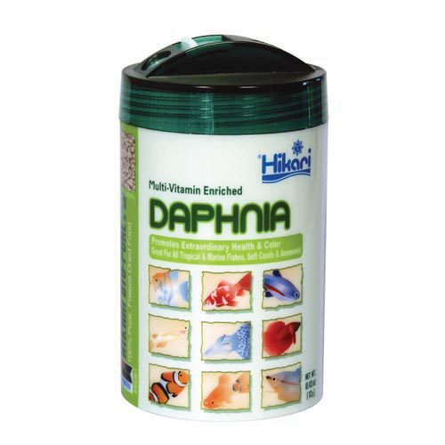 Hikari | Freeze-Dried Daphnia .42 oz 042055333016 Super Cichlids