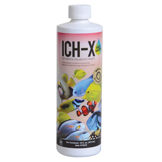 Hikari Ich-X Saltwater - 16 fl oz 042055733168 Super Cichlids