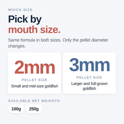 NorthFin Goldfish Formula – Color-Enhancing Pellets for Healthier Goldfish (2–3mm) Super Cichlids