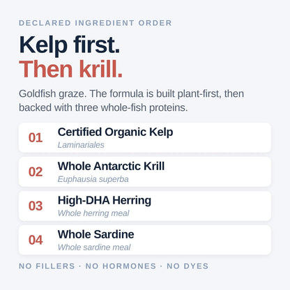 NorthFin Goldfish Formula – Color-Enhancing Pellets for Healthier Goldfish (2–3mm) Super Cichlids