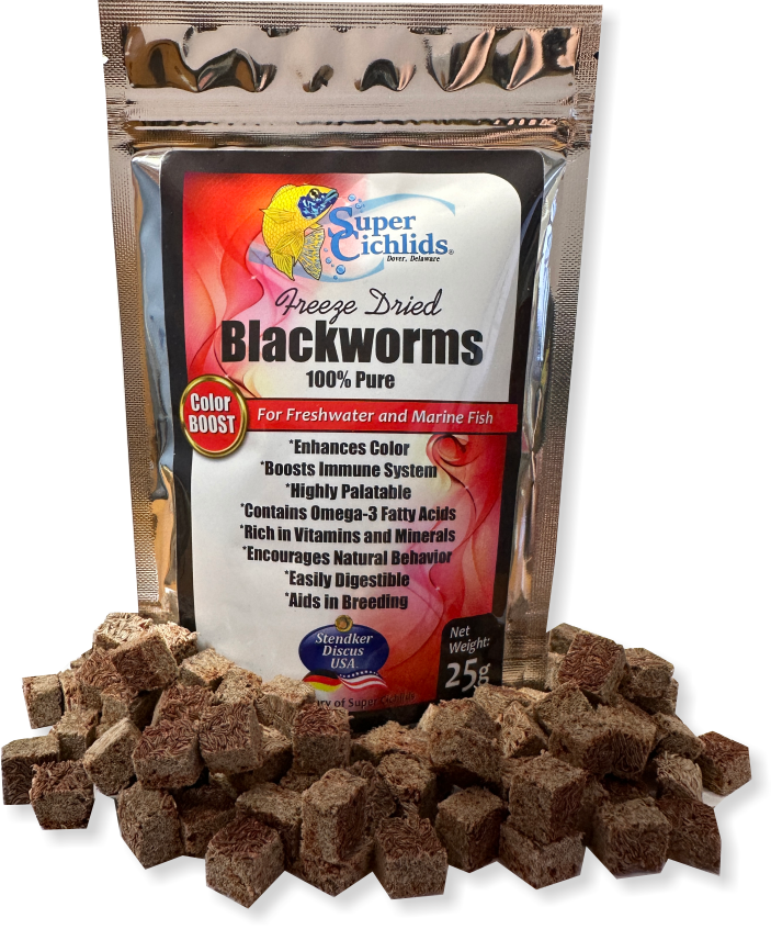 Premium Freeze Dried Blackworms for Aquatic Pets | Super Cichlids Color Boost 197644153633 Super Cichlids