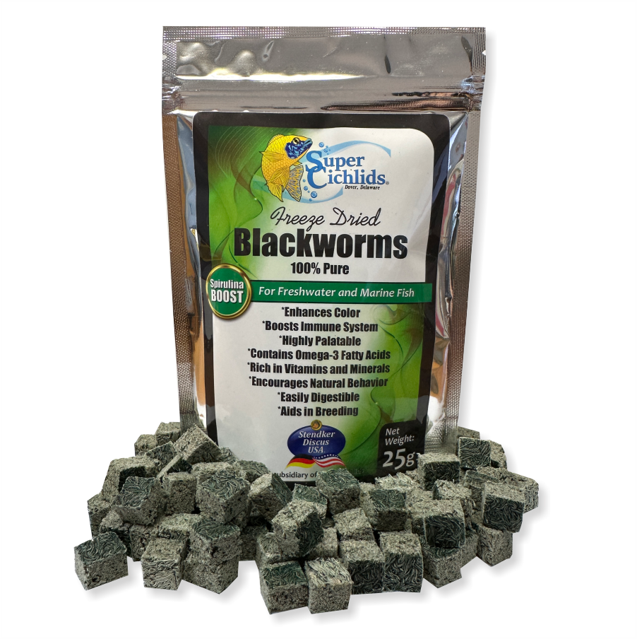 Premium Freeze Dried Blackworms for Aquatic Pets | Super Cichlids Spirulina Boost 197644633760 Super Cichlids