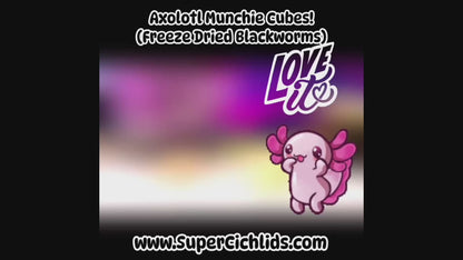 Axolotl Munchie Cubes - Get Ready for the FUN Munch Attack!