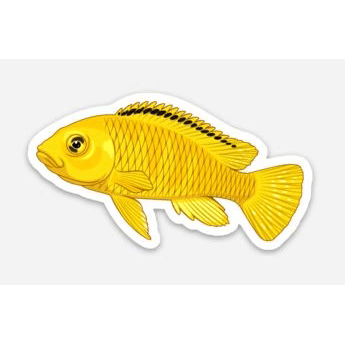 Stickers | 3" Yellow Lab Yellow Lab Mbuna Cichlid Super Cichlids