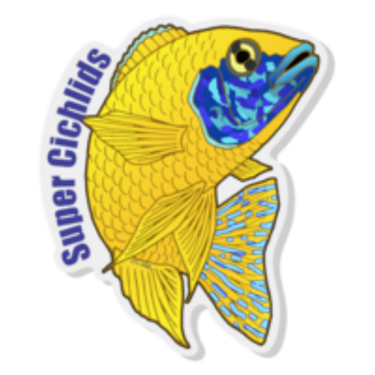 Super Cichlids Acrylic Pin | 1.2" x 1.5" Super Cichlids