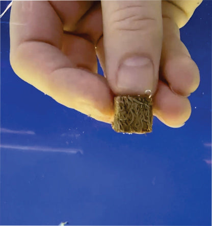 Super Cichlids | Freeze Dried Blackworms (25g) Super Cichlids