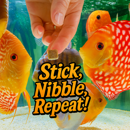 Super Cichlids Freeze-Dried Blackworms with Spirulina (All Natural, High Protein Fish Food) Super Cichlids