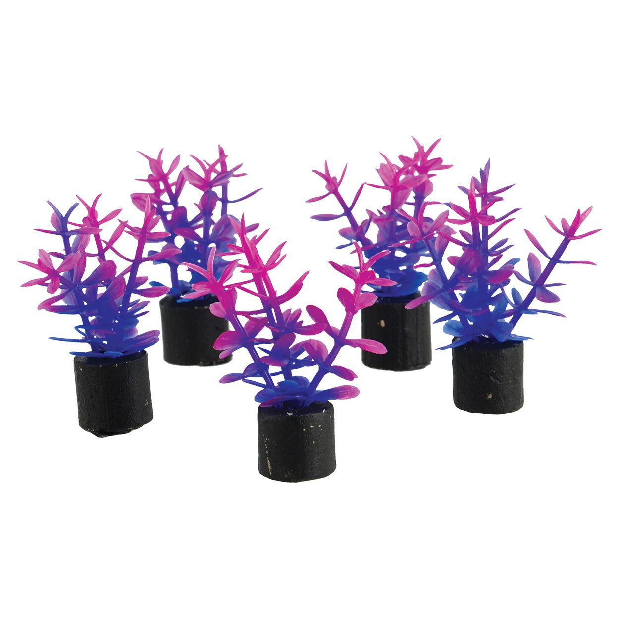 Underwater TreasuresMini Plant - Violet - 1.5" - 5 pk 628742014408 Super Cichlids