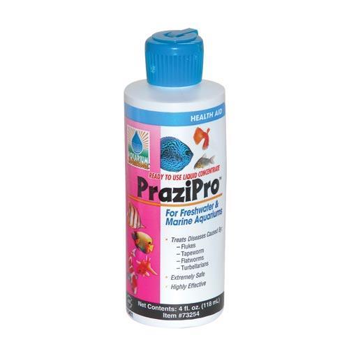 Aquarium Solutions | PraziPro 4 fl oz 042055732543 Super Cichlids