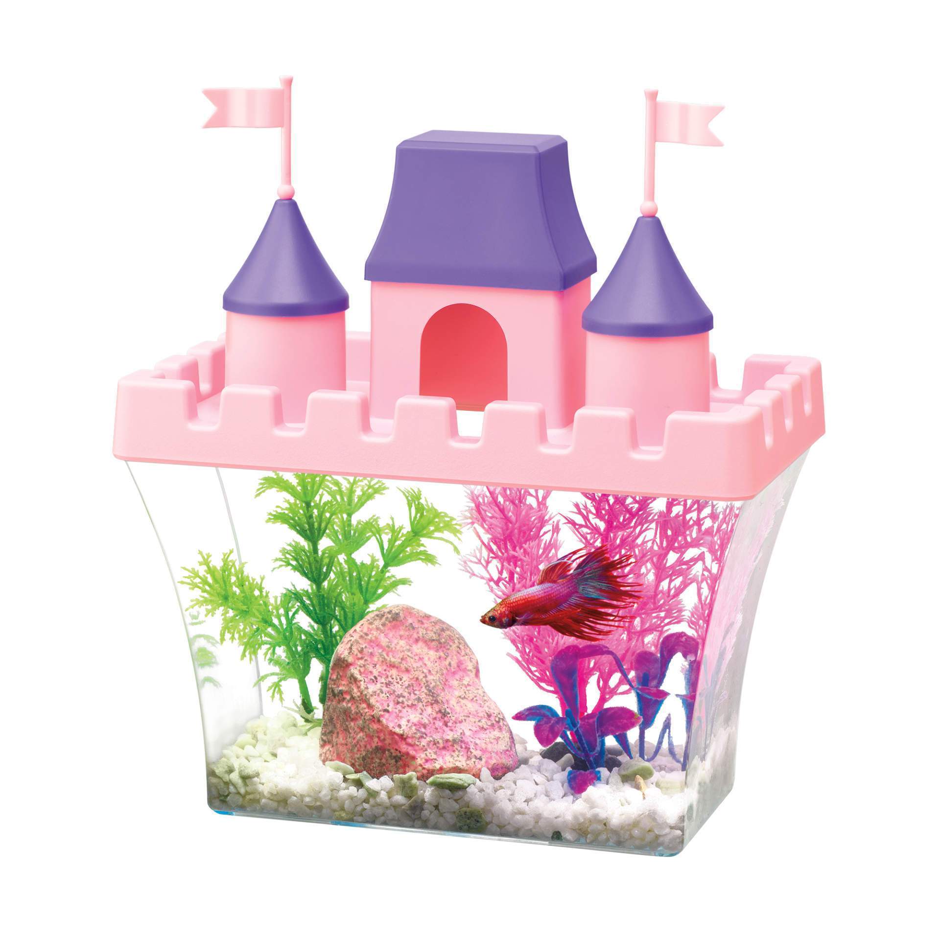 Aqueon | Princess Castle Desktop Aquarium Kit .5gal 015905000529 Super Cichlids