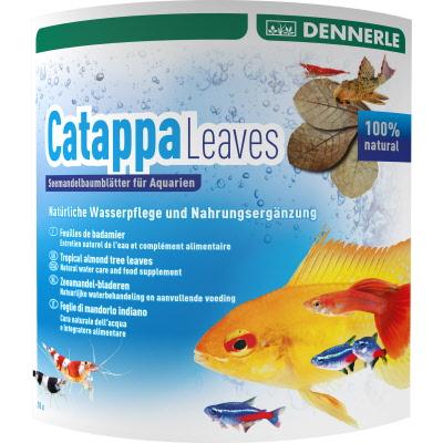 Dennerle | Catappa Leaves