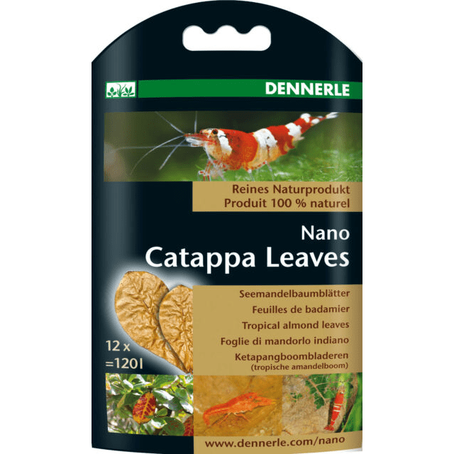 Dennerle | Catappa Nano Leaves 4001615059168 Super Cichlids