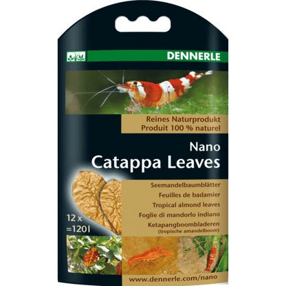 Dennerle | Catappa Nano Leaves 4001615059168 Super Cichlids