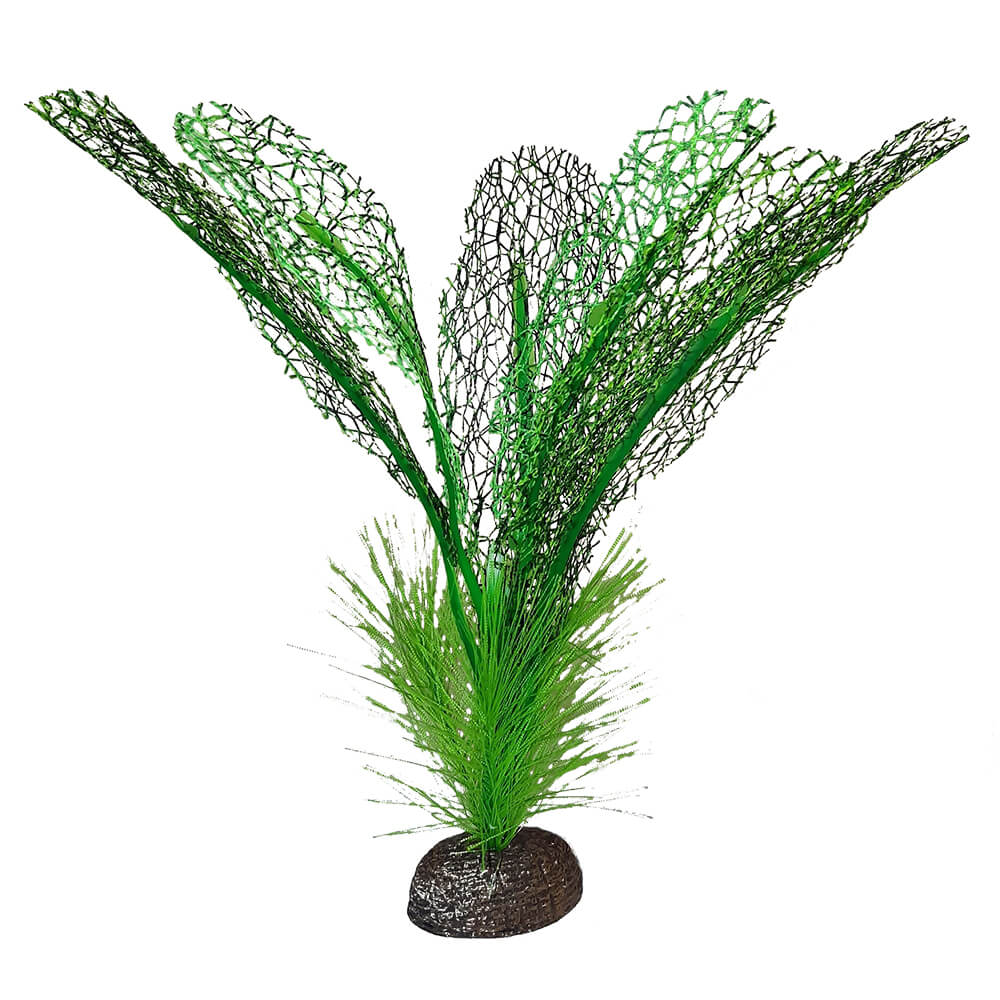 Fluval | Premium Betta Plants Madagascar Lace (6" - 15cm) 015561148504 Super Cichlids