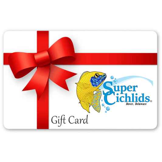 Gift Card Super Cichlids