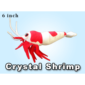 Greenpleco (6" Shrimp) Super Cichlids