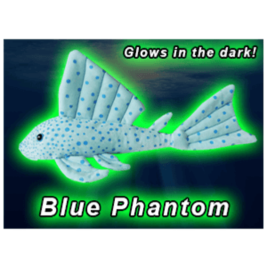 GreenPleco (Blue Phantom) 0123456789173 Super Cichlids