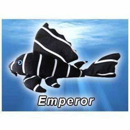 GreenPleco (Emperor) 123456789203 Super Cichlids