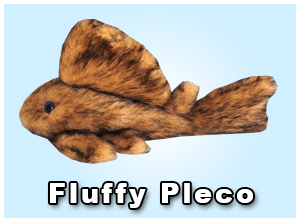 Greenpleco (Fluffy Pleco) Super Cichlids