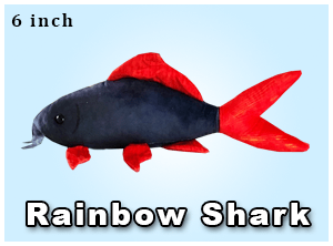 Greenpleco (Rainbow shark) Super Cichlids