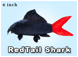 Greenpleco (Red Tail Shark) Super Cichlids