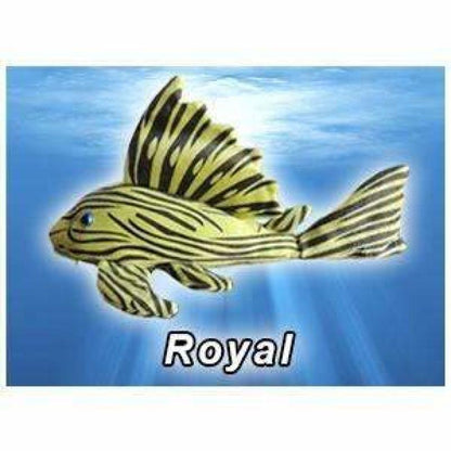 GreenPleco (Royal) 123456789326 Super Cichlids