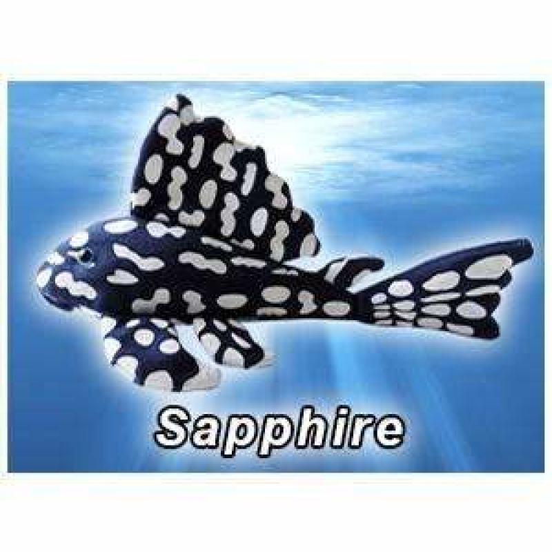 GreenPleco (Sapphire) 123456789241 Super Cichlids