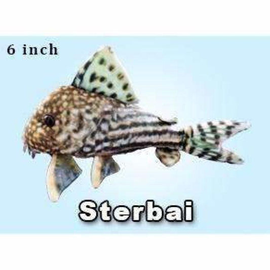 GreenPleco (Sterbai) Super Cichlids