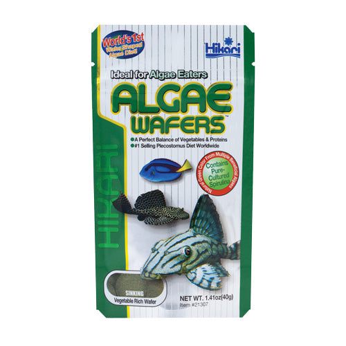 Hikari | Algae Wafers 1.41 oz (40g) 042055213073 Super Cichlids