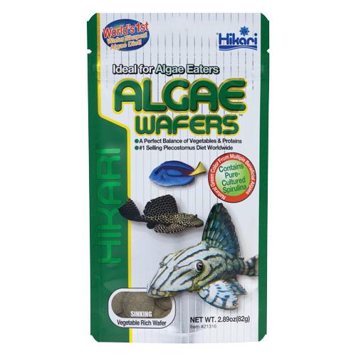 Hikari | Algae Wafers 2.89 oz (82g) 042055213165 Super Cichlids