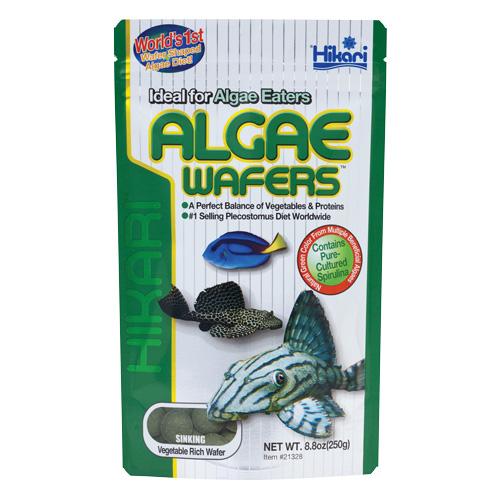 Hikari | Algae Wafers 8.8 oz (250g) 042055213288 Super Cichlids