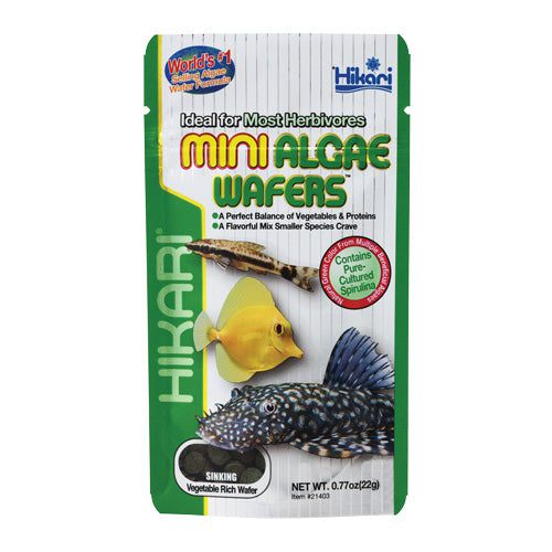 Hikari | Mini Algae Wafers 0.77 oz (22g) 042055214032 Super Cichlids