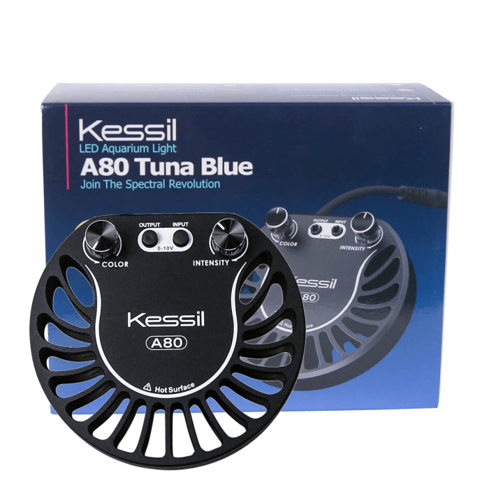 Kessil | KSA80 Tuna Blue 092145341148 Super Cichlids