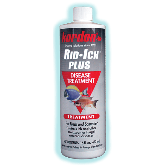 Kordon | Rid Ich Plus 4 fl oz 048054376443 Super Cichlids