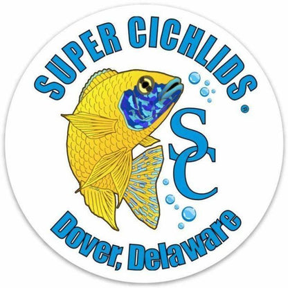 Super Cichlids Large Sticker  (6" x 6")