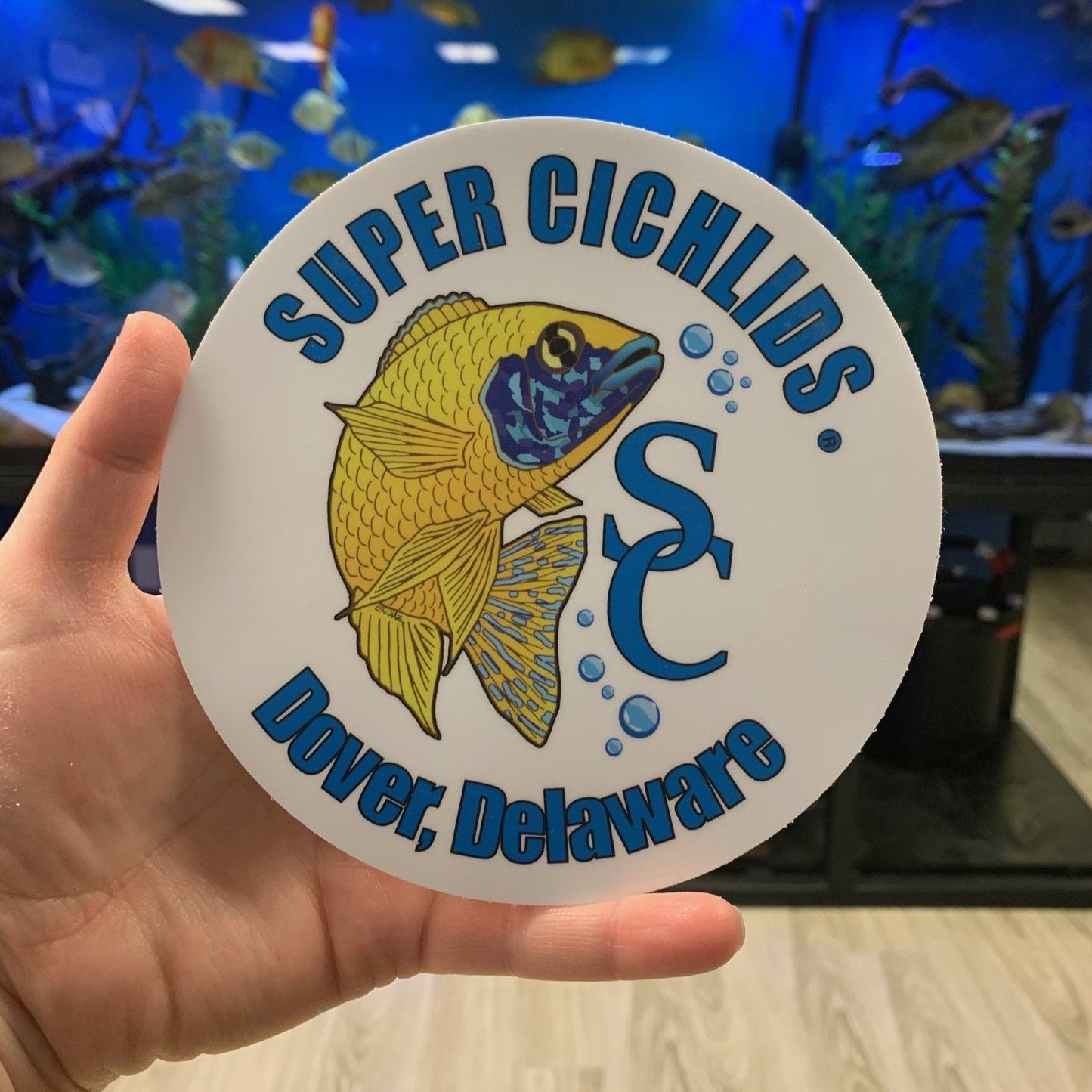 Super Cichlids Large Sticker  (6" x 6")